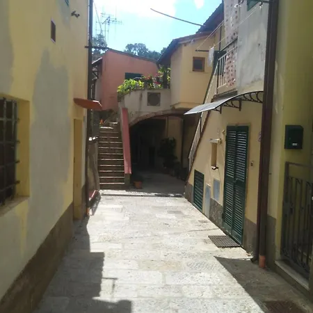 Bilocale Nel Centro Di *